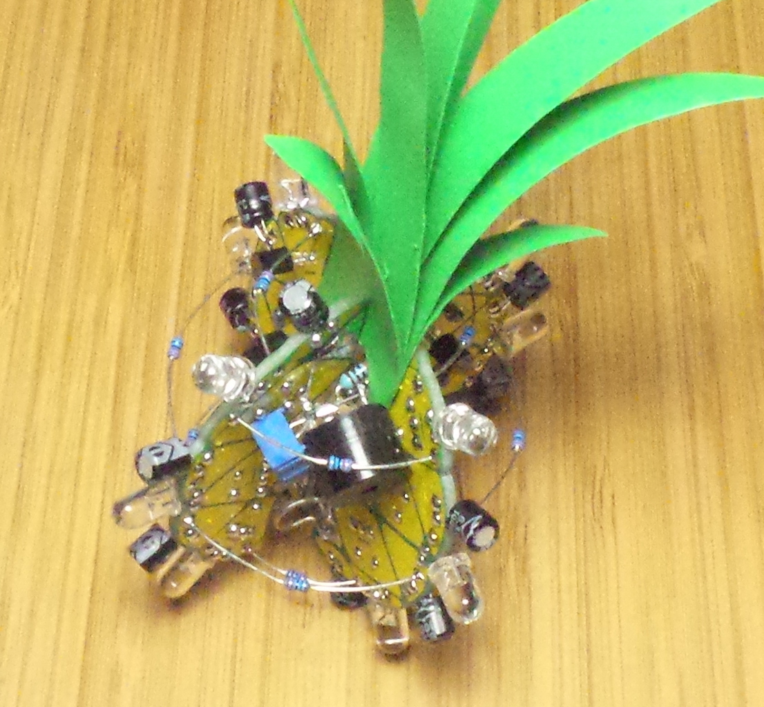my #BoldportClub ananas is beeping at me. should I be worried?! LEAP#369